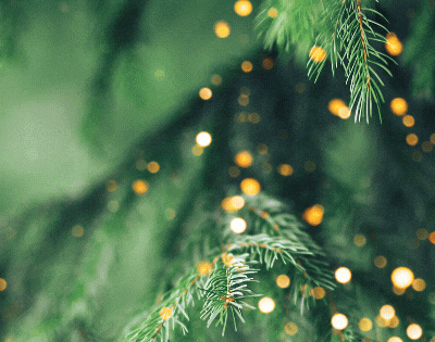 Happy Holidays from ILCA!
