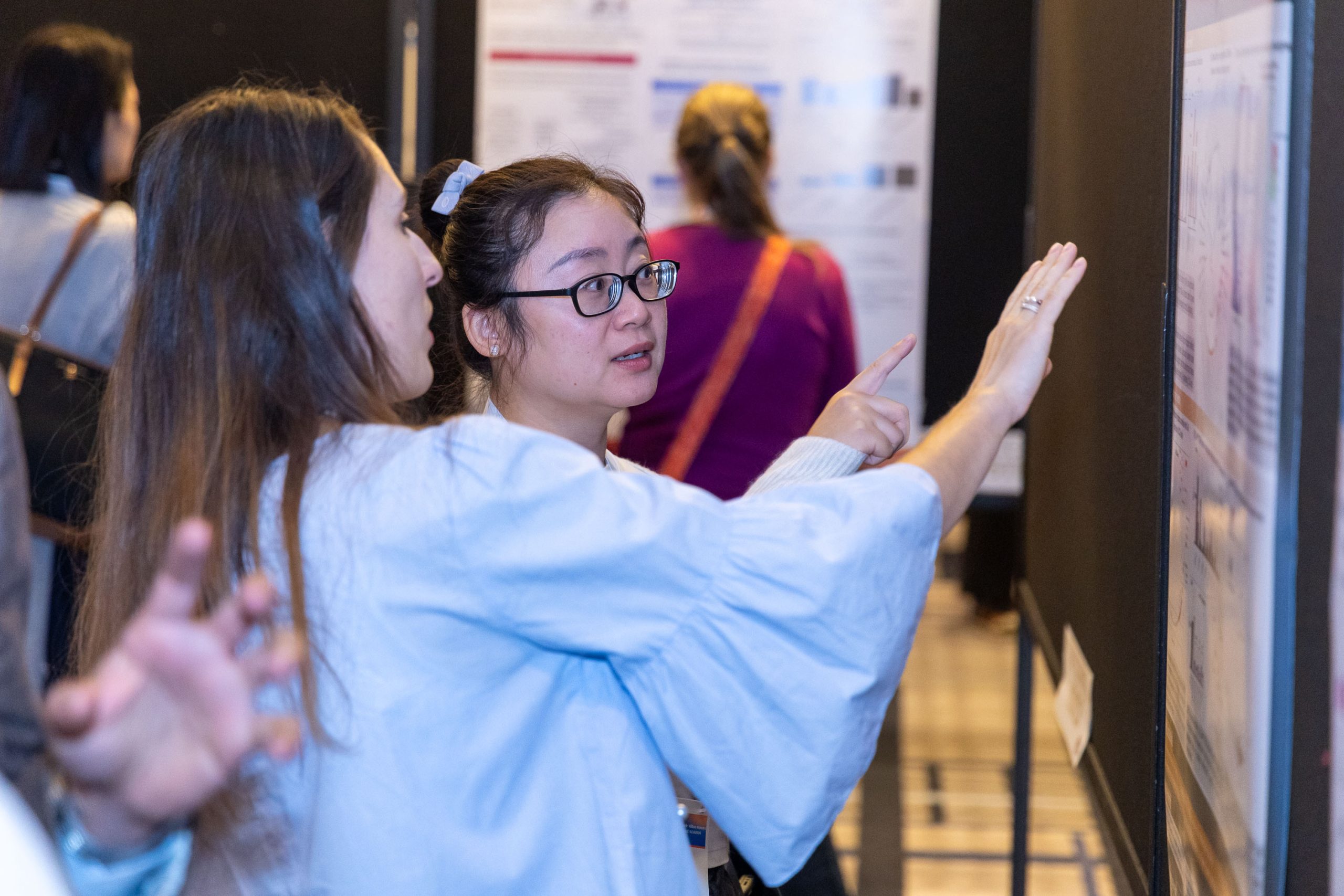 ILCA Mentorship Programme